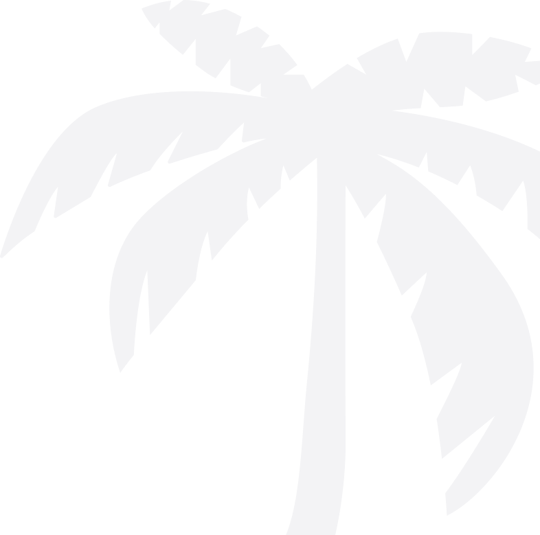 Palmier Noir Illustration